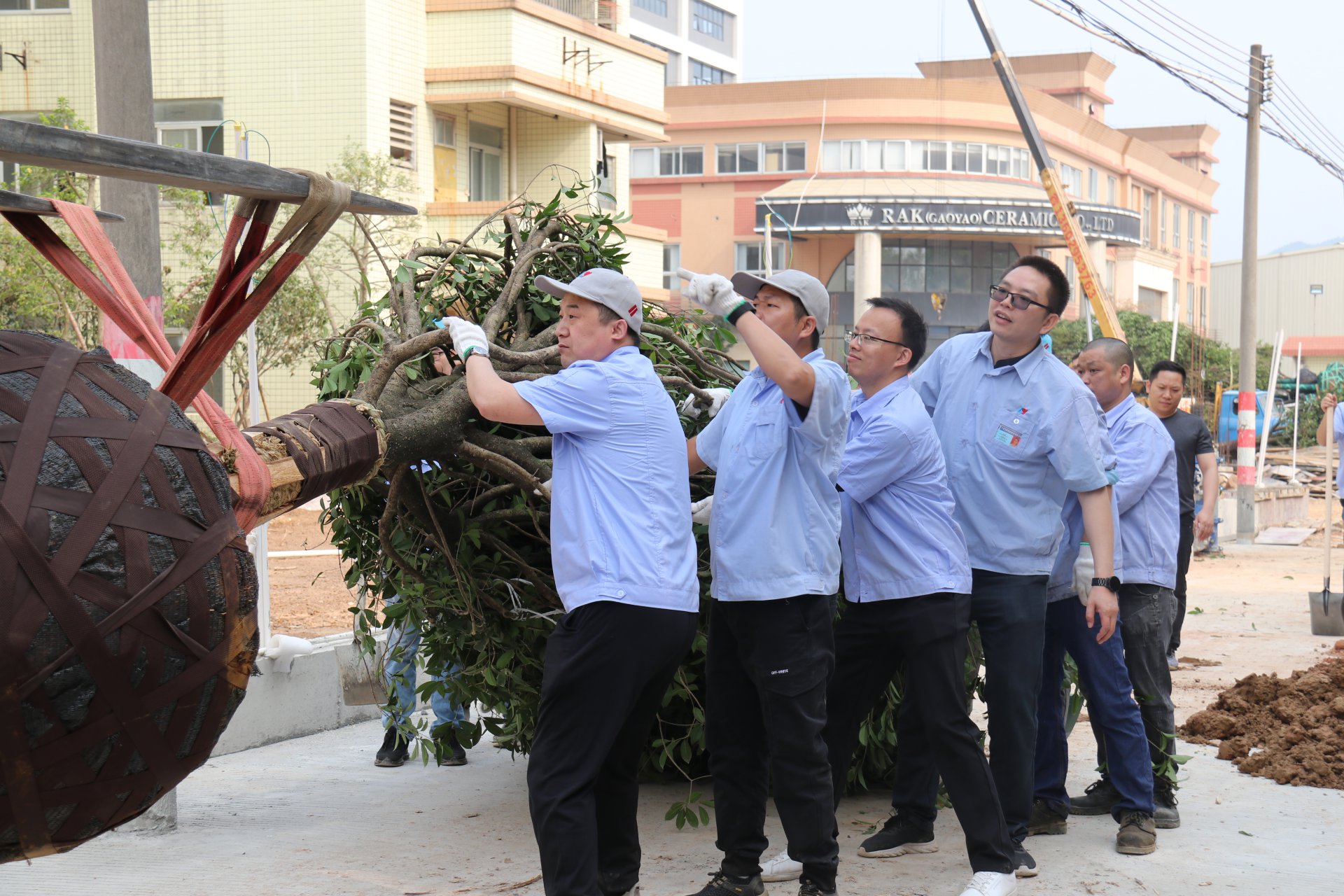 植樹節(jié)活動